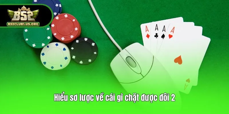 Hiểu sơ lược về cái gì chặt được đôi 2